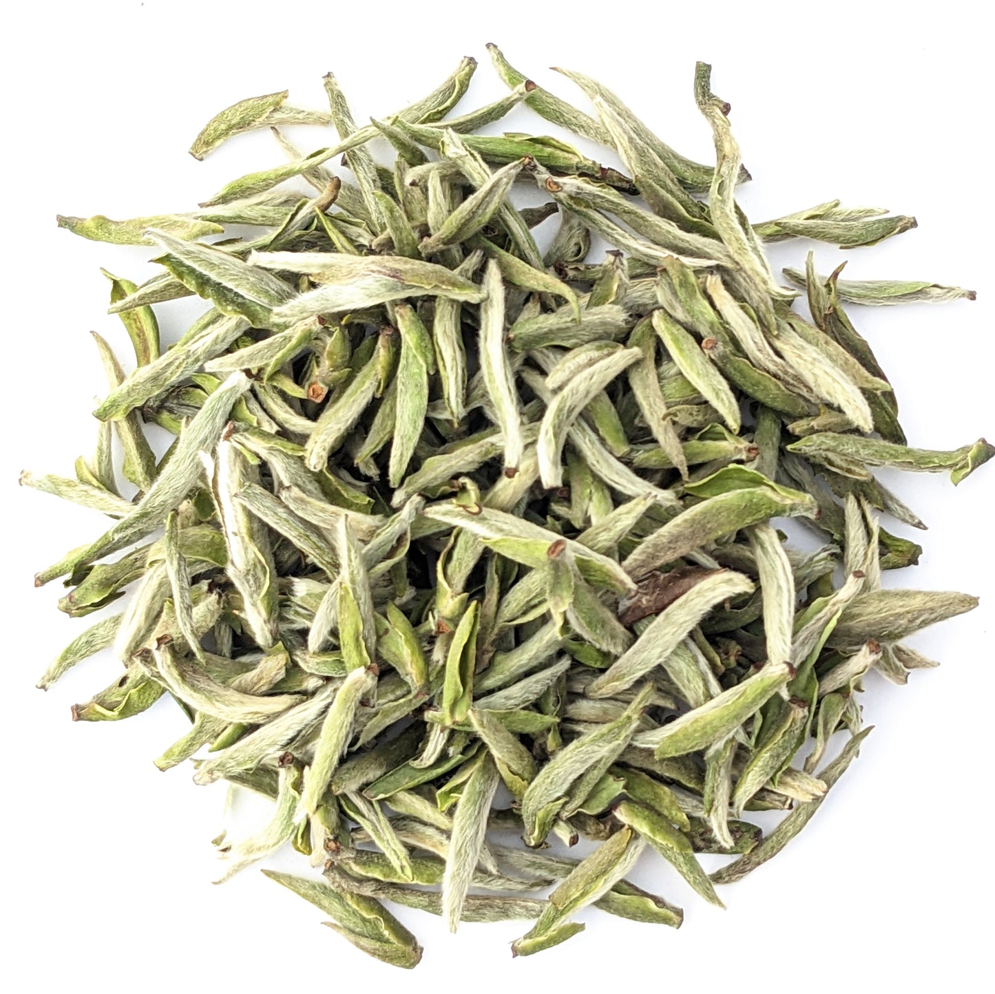 Silver Needle
