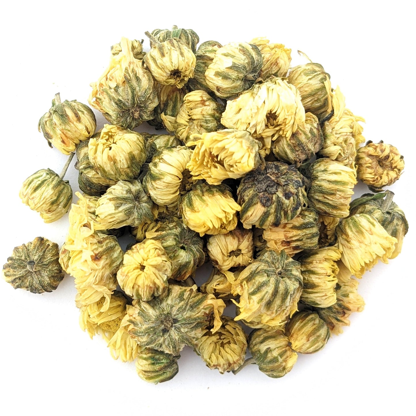 Yellow Chrysanthemum