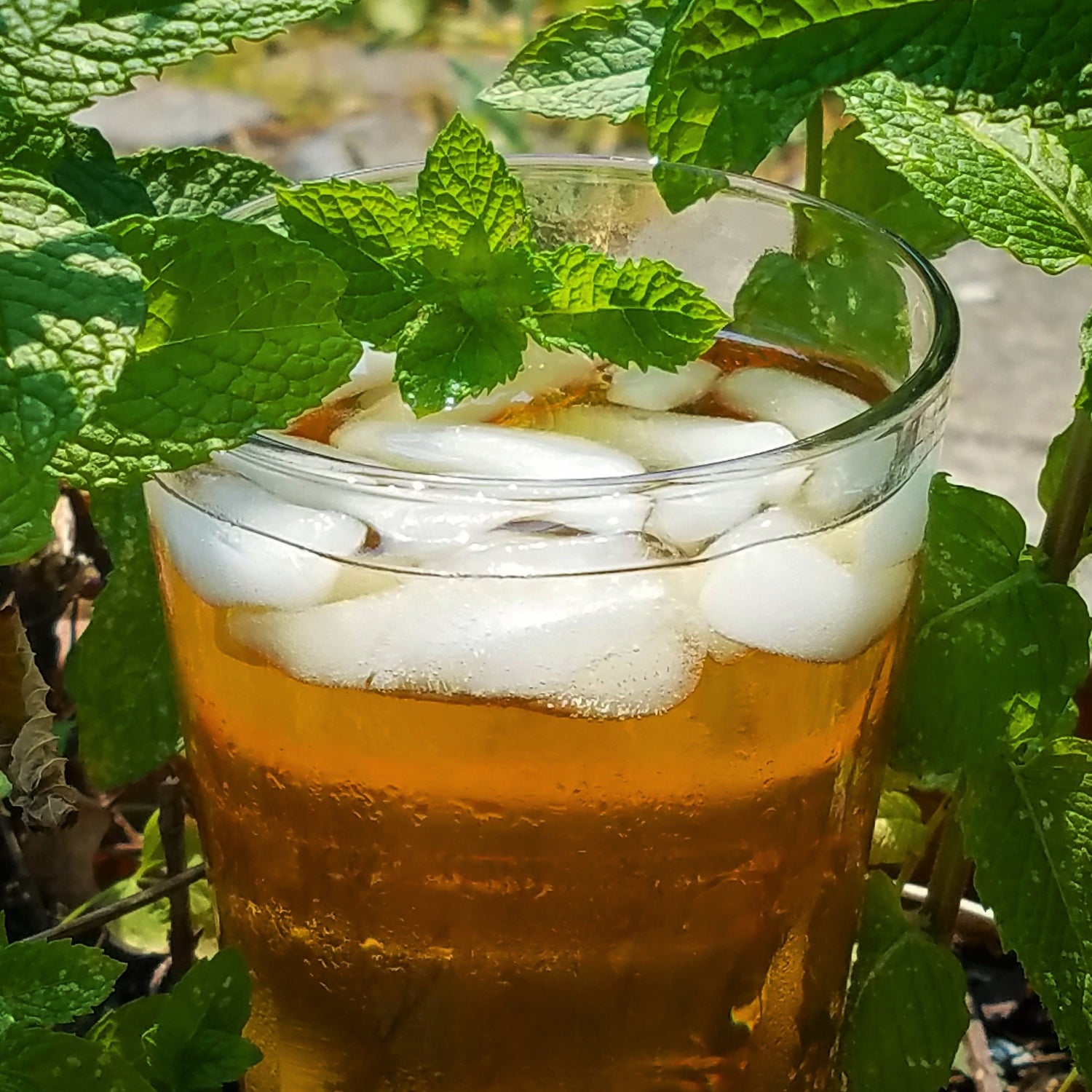 Iced Teas